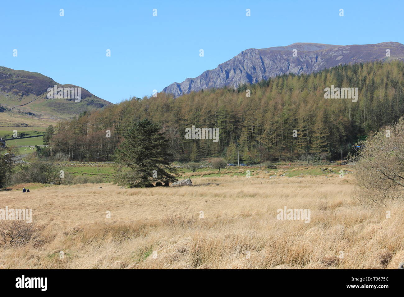 Cruisen durch North Wales Stockfoto