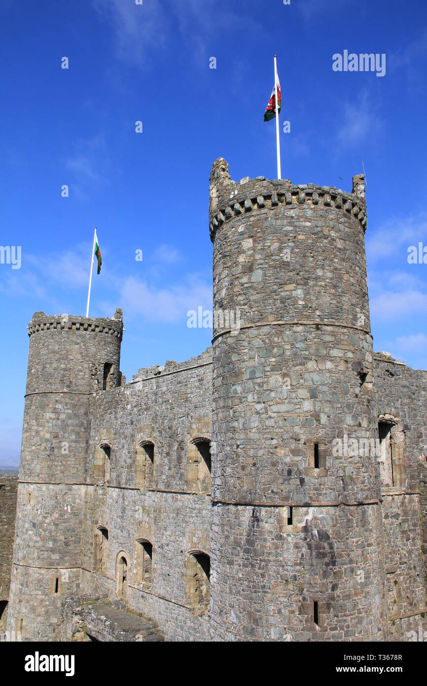 Harlech Castle, Nordwales Stockfoto