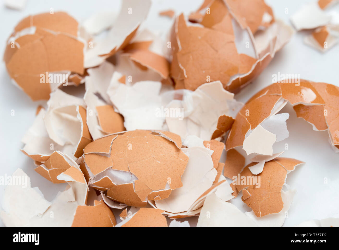 Zerbrochene Eierschale auf weiße Platte Hintergrund Stockfoto