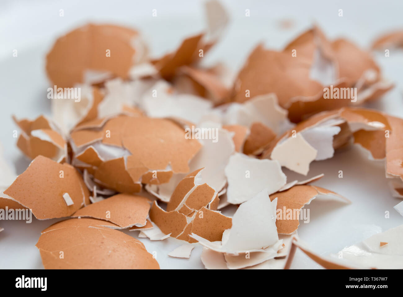 Zerbrochene Eierschale auf weiße Platte Hintergrund Stockfoto