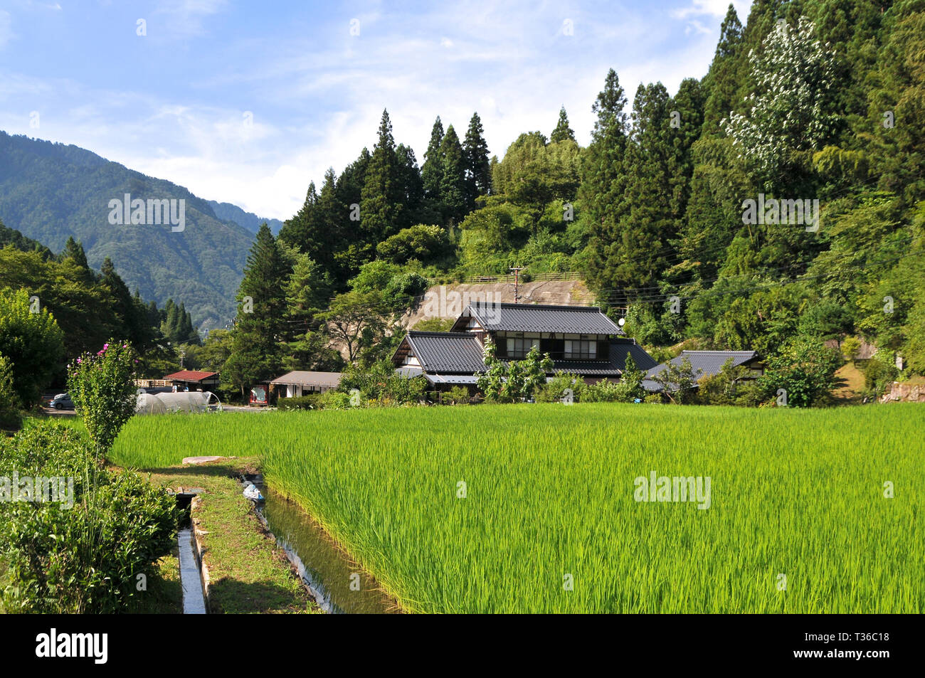 Tsumago, Nagano, Japan - 30. Juli 2018: schöne Aussicht auf eine typische japanische Haus von einem Reisfeld auf der Nakasendo Road Trail in Japan umgeben Stockfoto