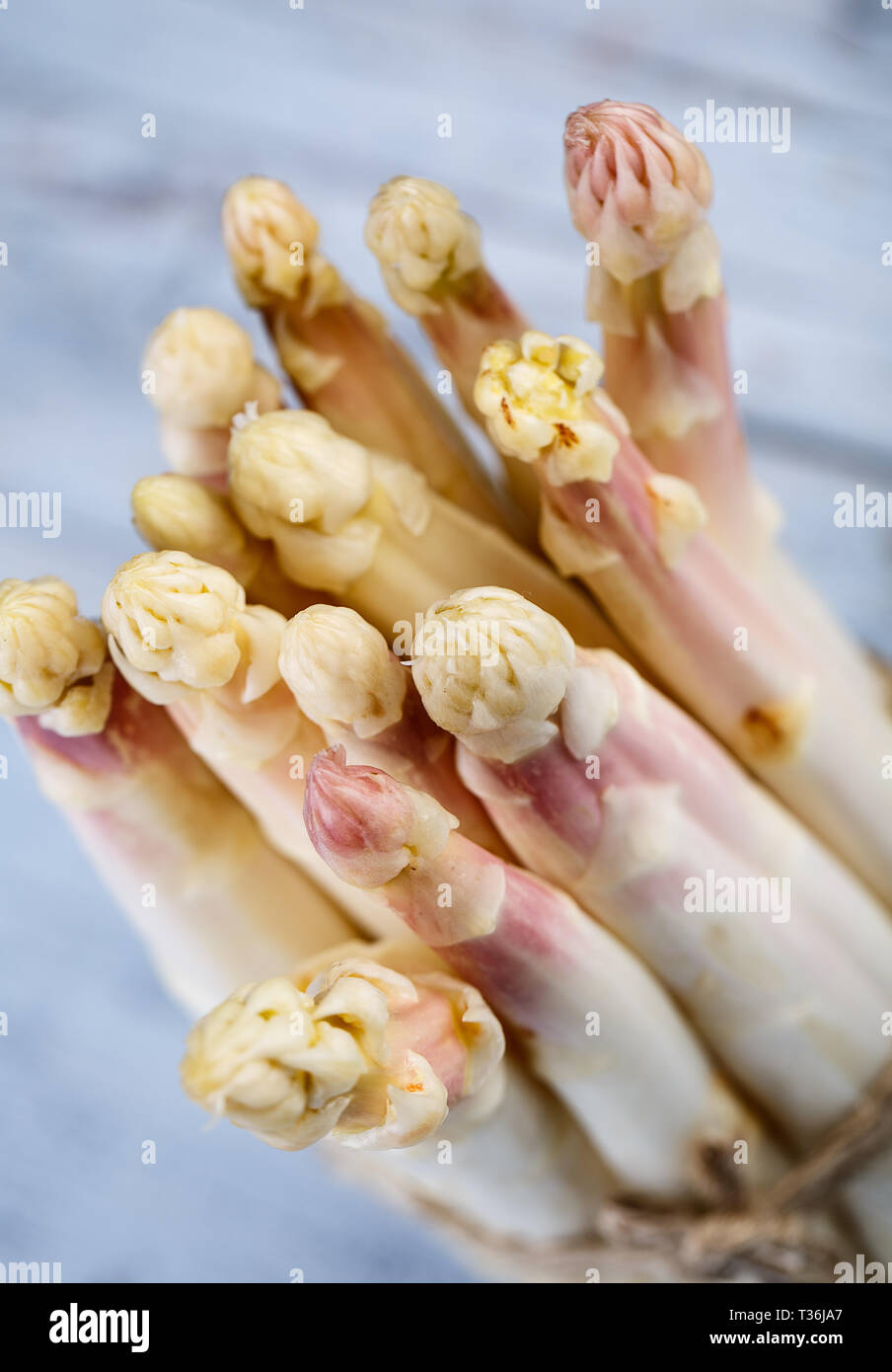 Bündel von frischem ungeschälten weißen Spargel im Frühjahr Stockfoto