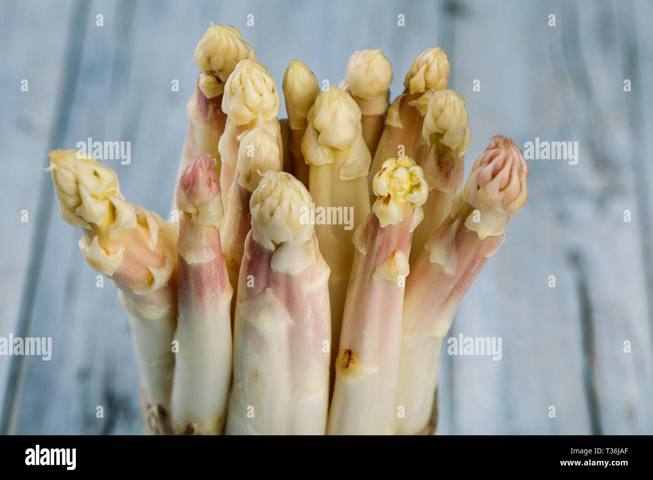 Bündel von frischem ungeschälten weißen Spargel im Frühjahr Stockfoto