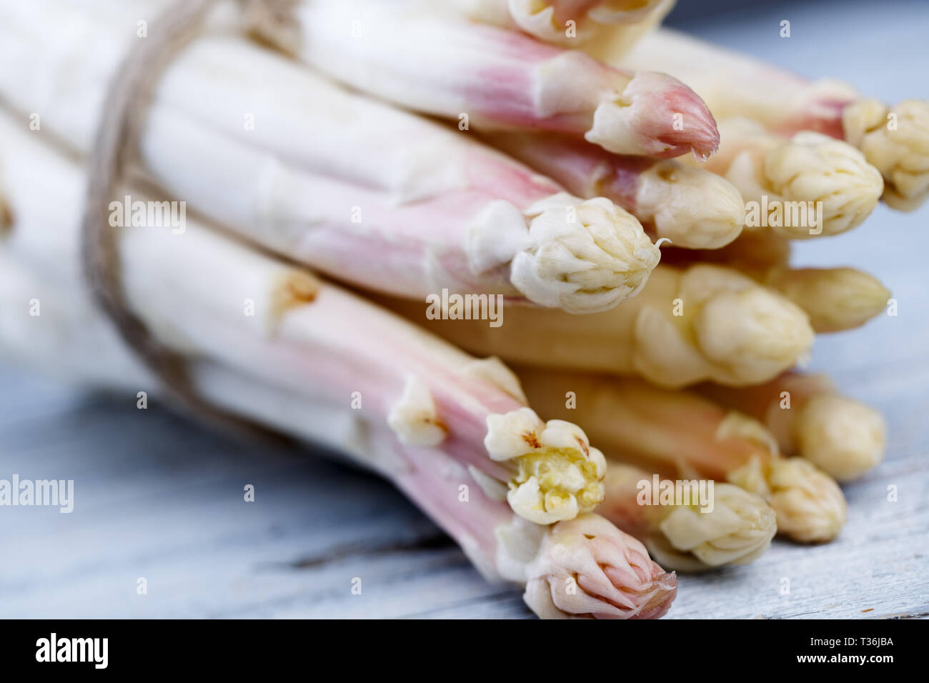 Bündel von frischem ungeschälten weißen Spargel im Frühjahr Stockfoto
