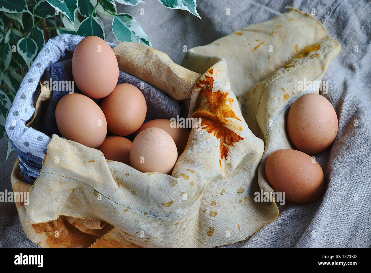 Gruppe der Eier in einem Korb und getönte ockerfarbenen Stoffen Stockfoto