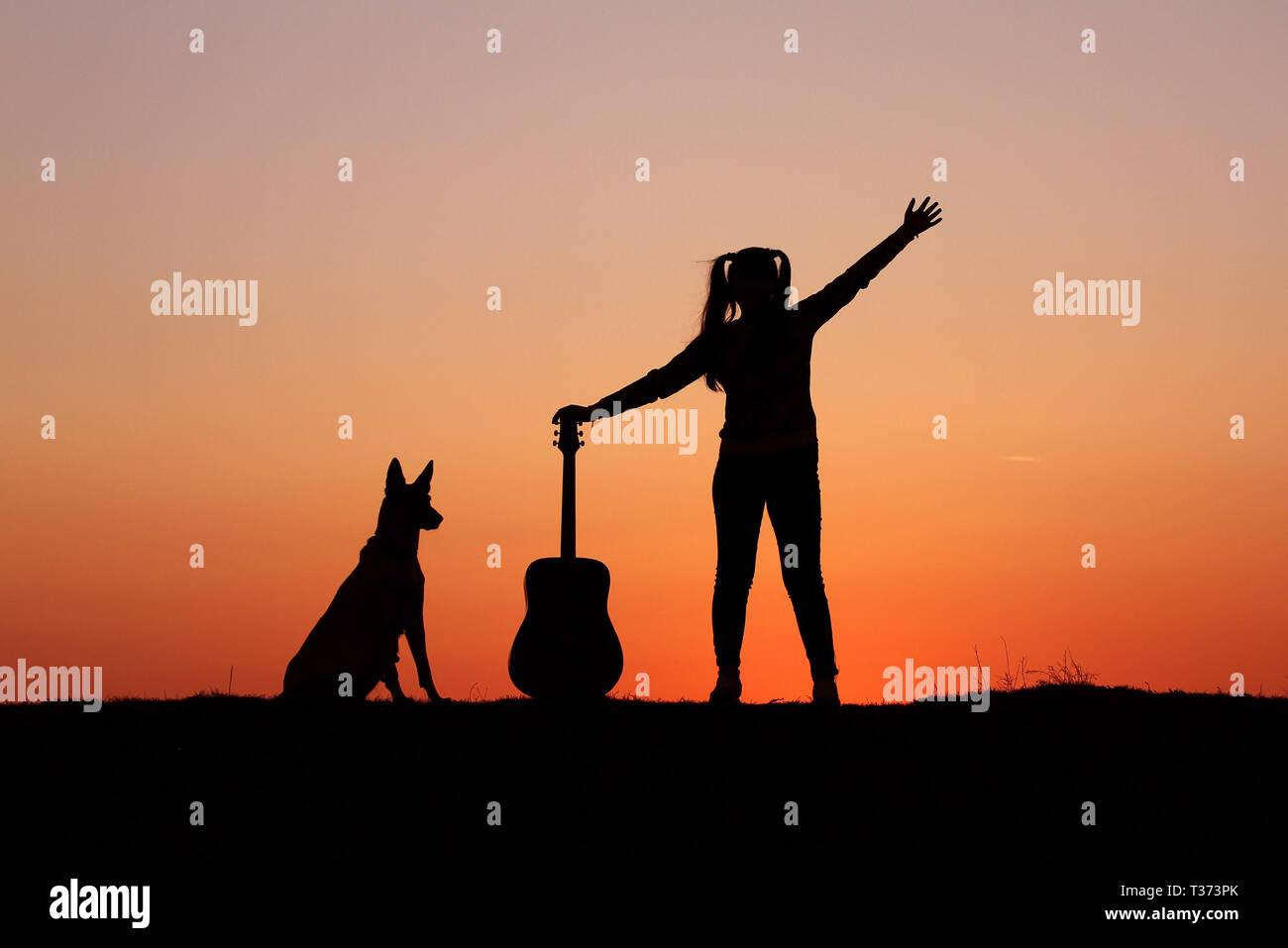 Silhouettegirls Gitarrist auf Sonnenuntergang Hintergrund, Silhouette einer Hunderasse Belgischer Schäferhund Malinois, glücklich, Freunde, outdoor Stockfoto