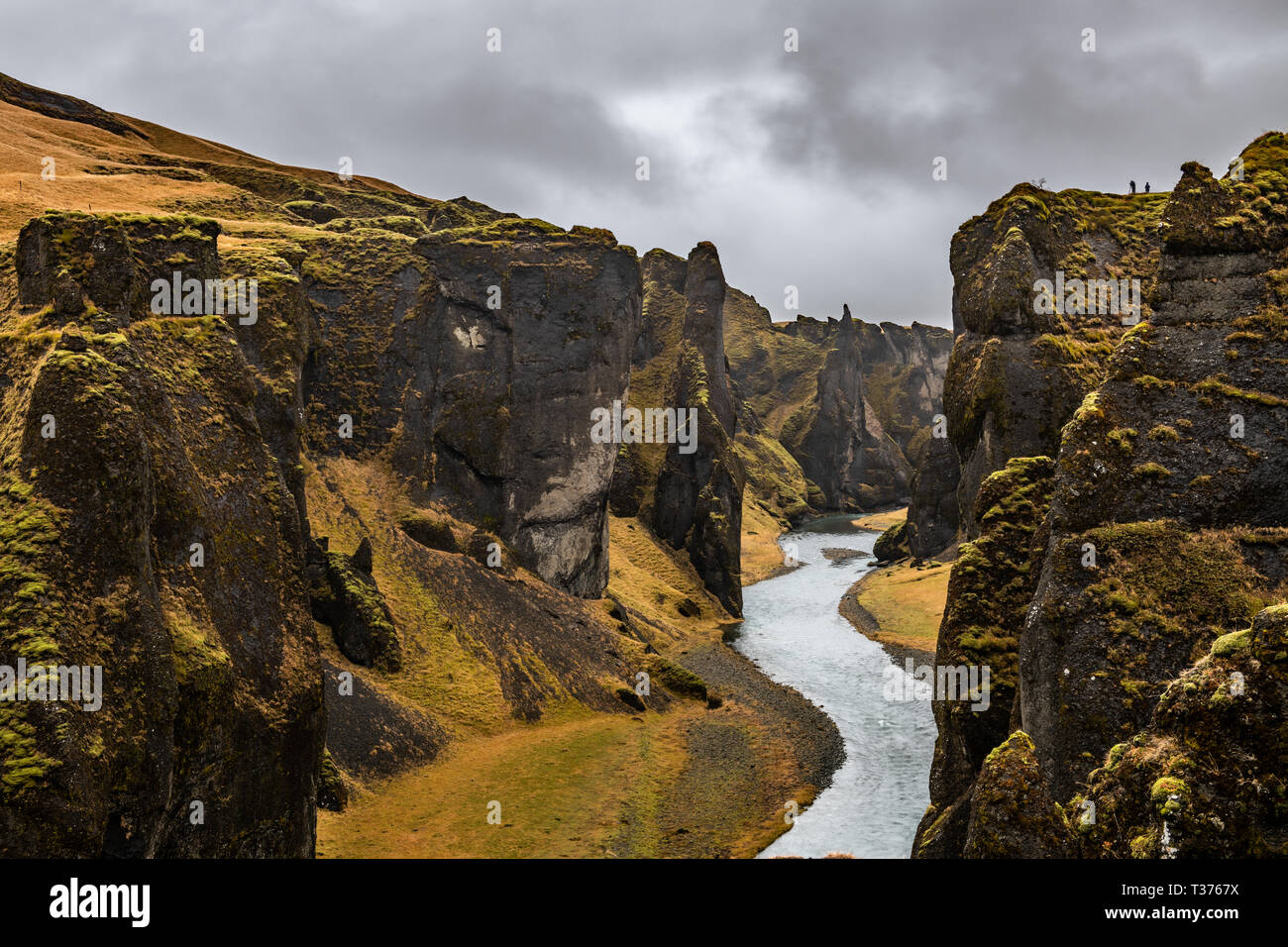 Fjaðrárgljúfur ist eine prachtvolle und massive Canyon, etwa 100 Meter tief und etwa zwei Kilometer lang. Die Schlucht mit steilen Wänden, und ist etwas s Stockfoto