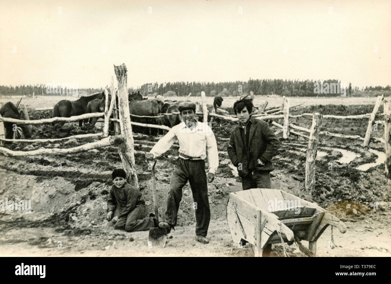 Bauern bei der Arbeit, Ponce, Puerto Rico 1960 s Stockfoto