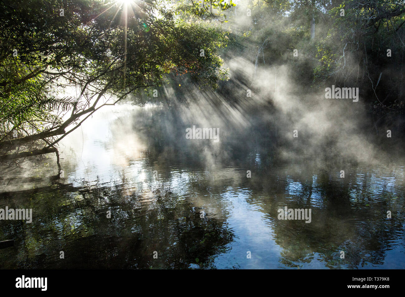 Morgen über Aquario Natural, Bonito, Mato Grosso do Sul, Brasilien Stockfoto