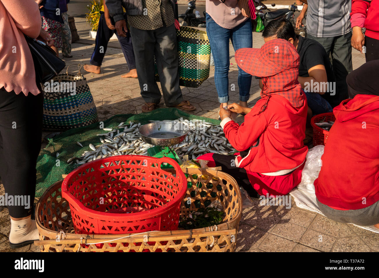 Kambodscha, Kampong (Kompong Cham), Fluss Mekong Riverside Promenade, örtlichen Fischmarkt, Frau verkaufen frisch gefangenen Fisch am Ufer des Flusses Stockfoto