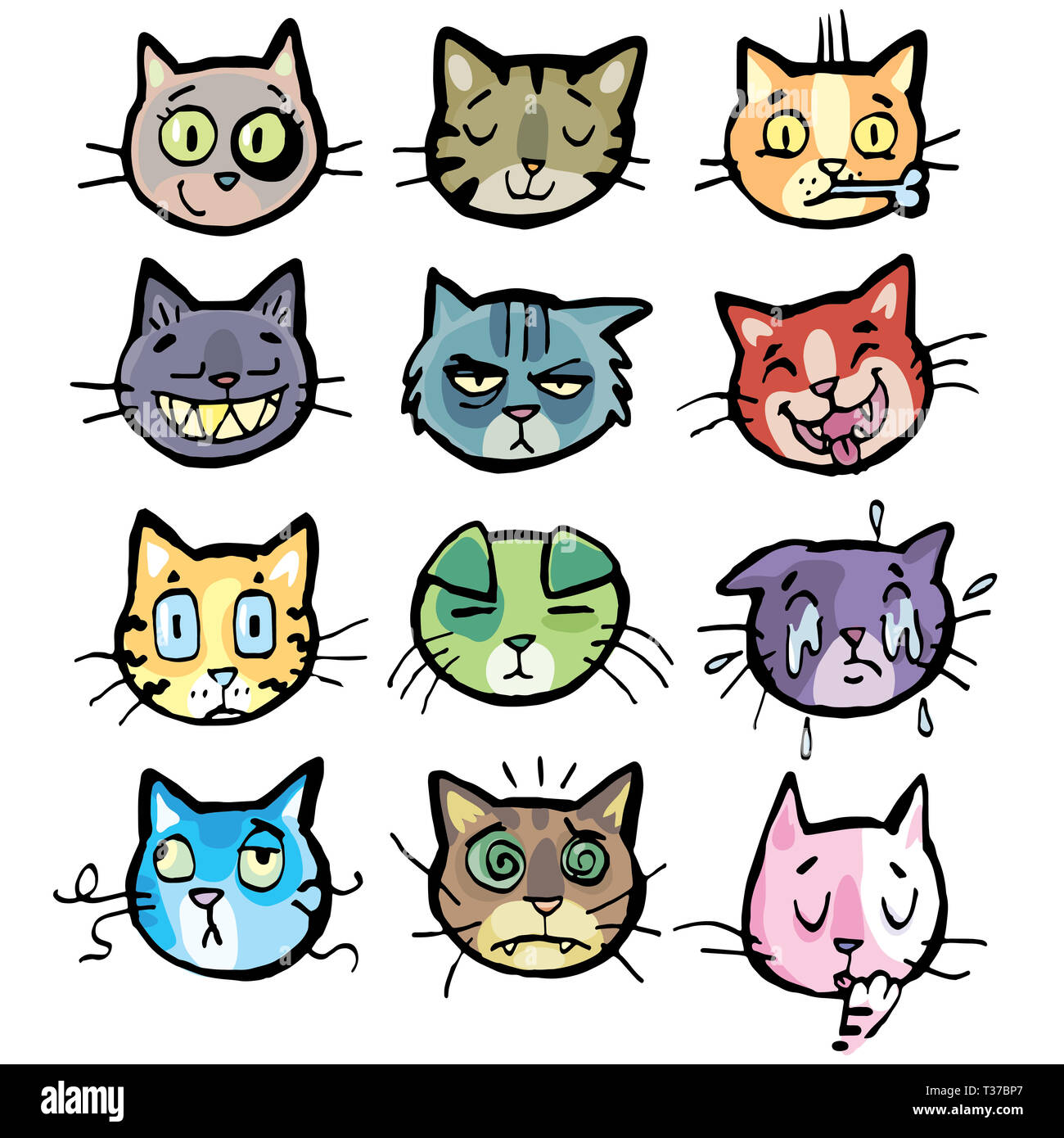 Köpfe von Katzen in verschiedenen Stimmungen Stockfoto
