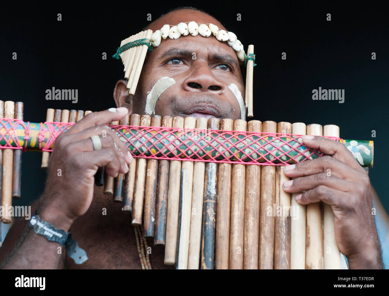 Narasirato durchführen an den WOMAD-Festival, Charlton Park, Großbritannien. Salomonen bamboo Orchestra' Stockfoto