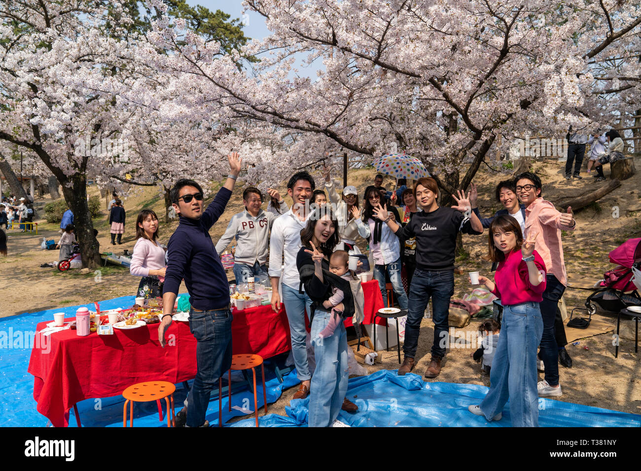 Menschen versammelt, die kirschblüten zu sehen, "Hana-mi', oder das traditionelle Picknick unter ihnen haben in der Heißen das zweimal jährlich erscheinende Mode-Special Sonnenschein an Shukugawa, in der Nähe der Nishinomiya in Japan. Gruppe von Menschen, die sich dem Betrachter zu Gesicht, was Frieden unterzeichnen und lächelnd. Ein beliebter Aussichtspunkt, mit einer Reihe von Cherry Blossom Bäume auf beiden Seiten des Flusses. Stockfoto