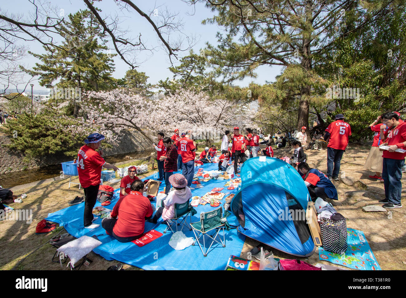 Baseball Team versammelt, ein Picknick unter den Kirschblüten zu haben, "Hana-mi', der in der warmen Frühlingssonne an Shukugawa, in der Nähe der Nishinomiya in Japan. Ein beliebter Aussichtspunkt, mit einer Reihe von Cherry Blossom Bäume auf beiden Seiten des Flusses. Stockfoto