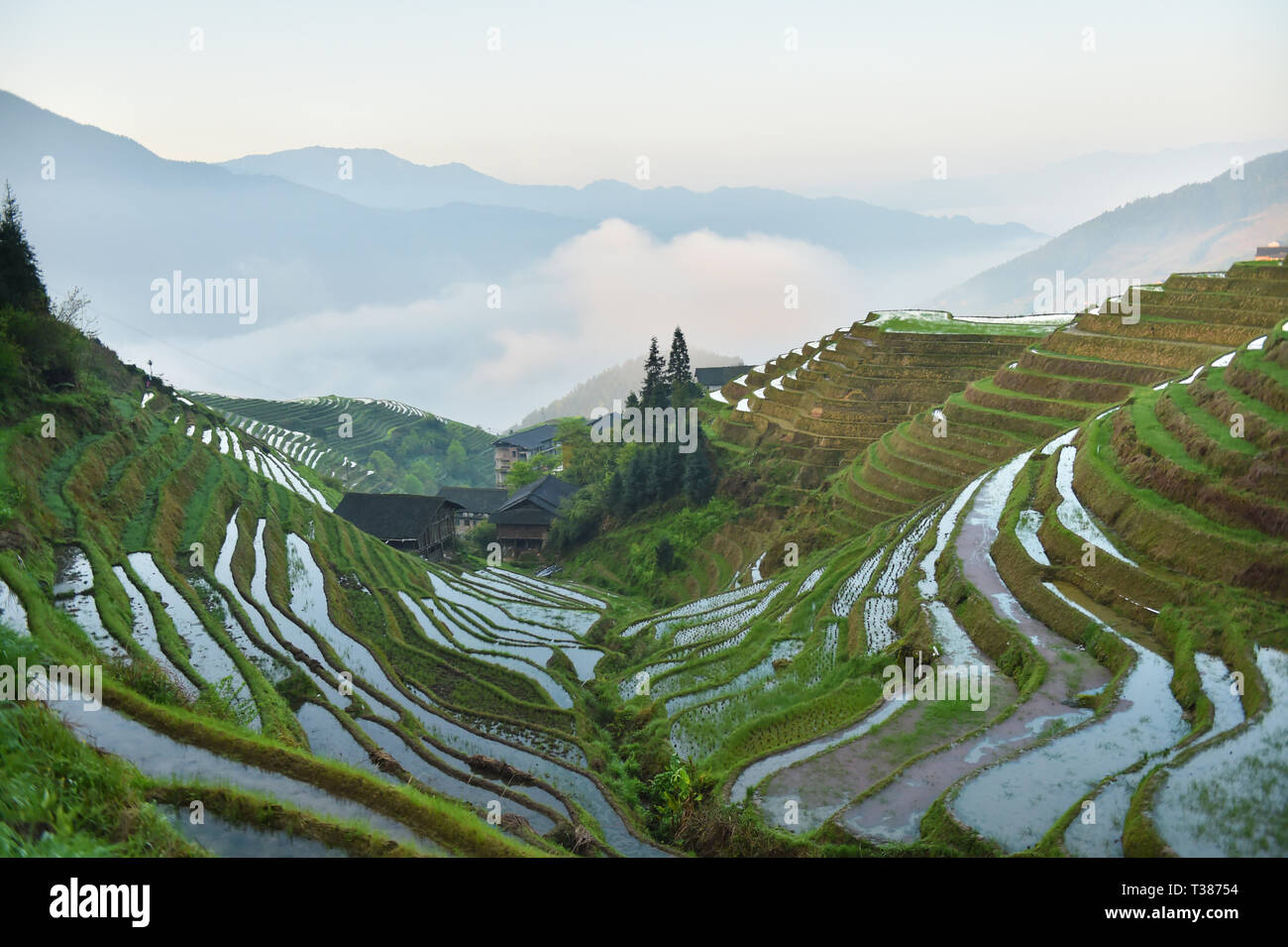 Longsheng. 7 Apr, 2019. Foto am 7. April 2019 zeigt eine Ansicht der Ping" ein Dorf in Longsheng County, South China Guangxi Zhuang autonomen Region berücksichtigt. Quelle: Cao Yiming/Xinhua/Alamy leben Nachrichten Stockfoto