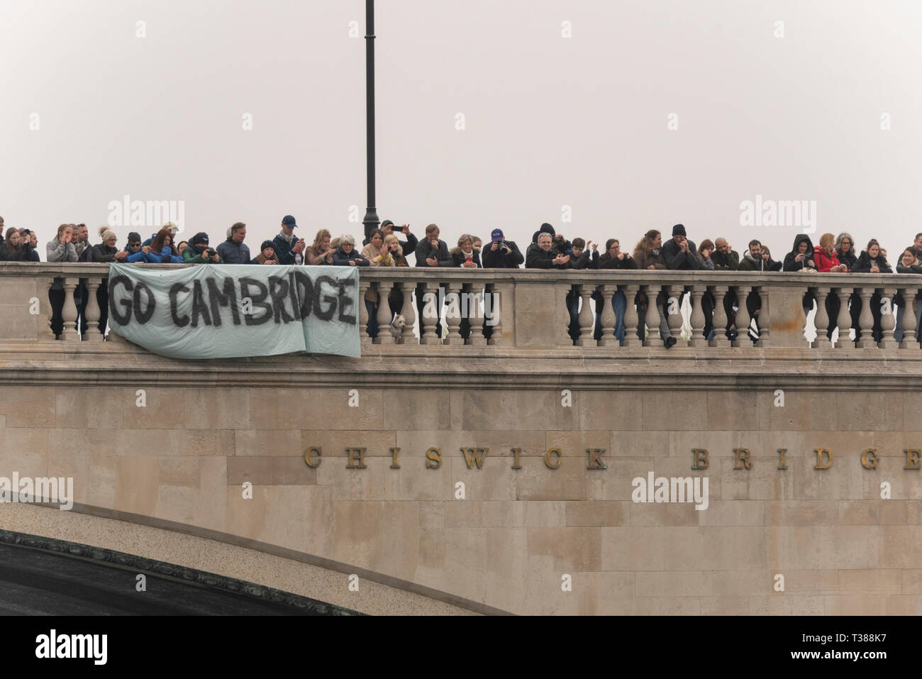 Die Yacht Race erfolgt über einen 6,8 km Abschnitt der Themse von Putney zu Mortlake in der Nähe von Chiswick Bridge. Klicken Sie Cambridge Banner mit Anhänger auf der Brücke Stockfoto