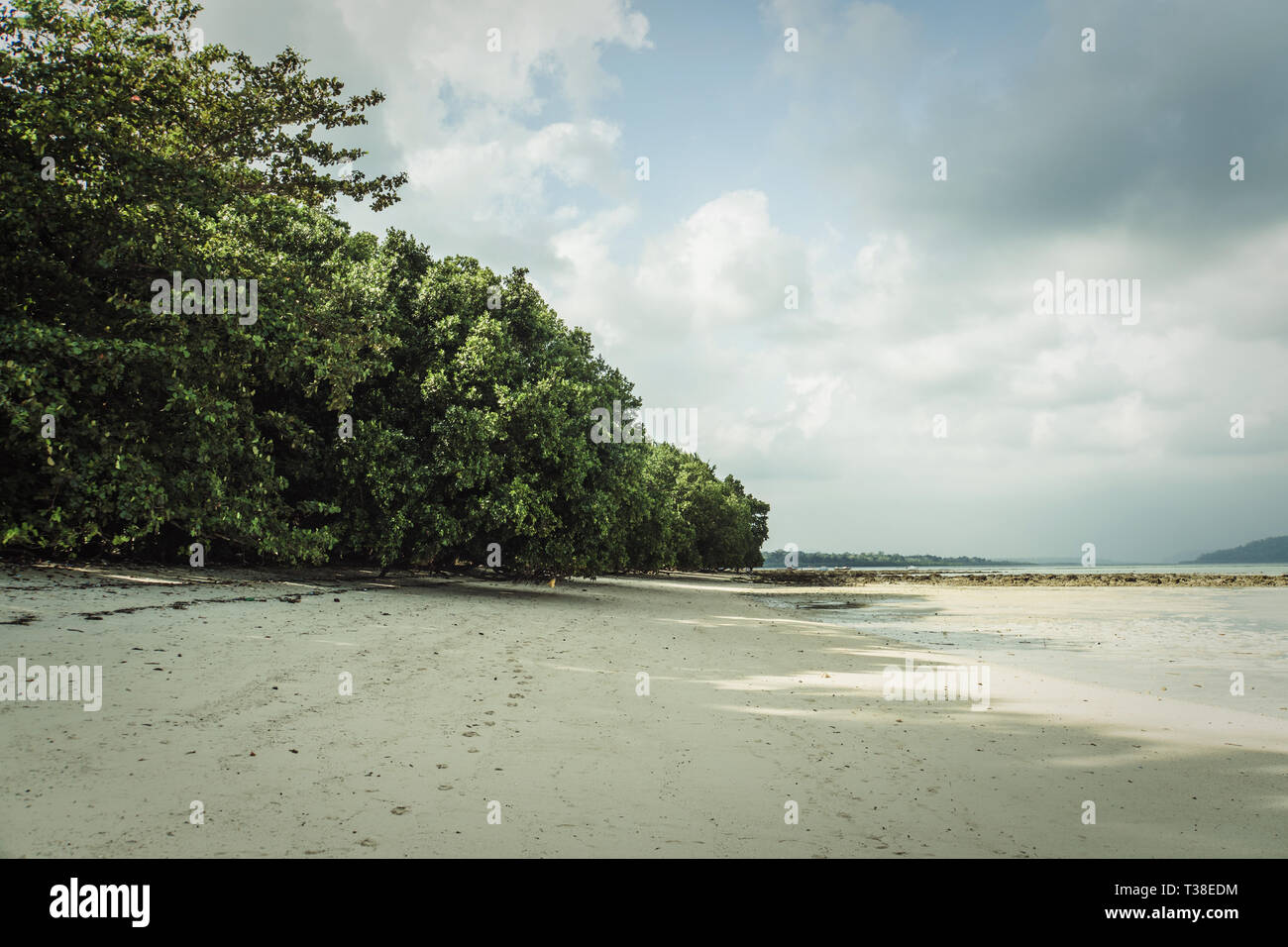Strand mit weißem Sand und Vegetation. Dschungel auf der Insel. Das Havelock Island im Andaman und Nicobar Inseln Stockfoto