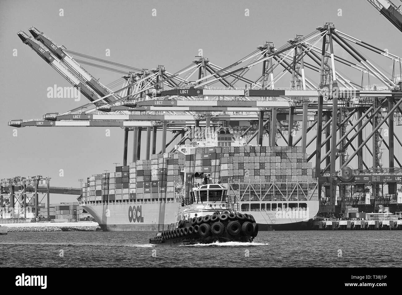 Schwarz-weiß-Foto des Mops, TIM QUIGG vorbei am Containerschiff, OOCL TAIPAI, Entladung im Long Beach Container Terminal, Kalifornien, USA Stockfoto