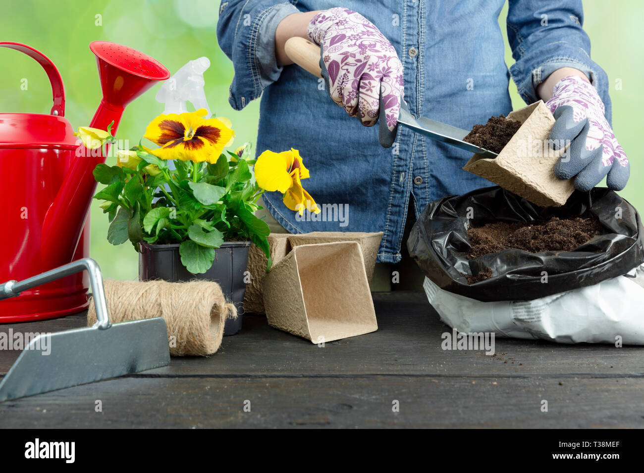 Hände von Gärtner Frau die Erde in einen Blumentopf. Pflanzung Frühjahr Stiefmütterchen Blume. Gartenarbeit Konzept Stockfoto
