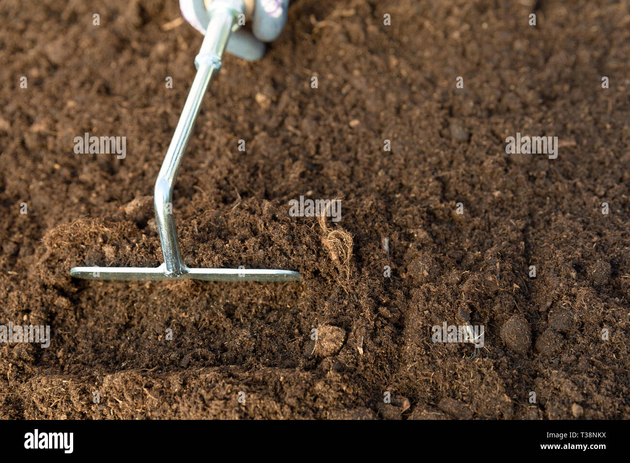 Hand des Gärtners Frau graben ein Loch im Boden mit Gartengeräte. Frühling Garten Arbeit Konzept Stockfoto