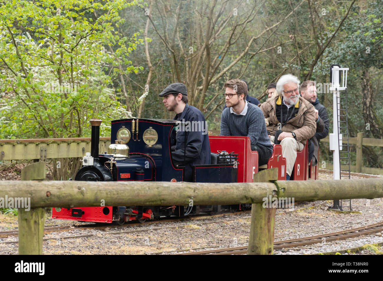 Familien genießen den Fahrten auf der Miniatur Dampfzüge und Eisenbahn in Frimley Lodge Park, Frimley, Surrey, Großbritannien Stockfoto