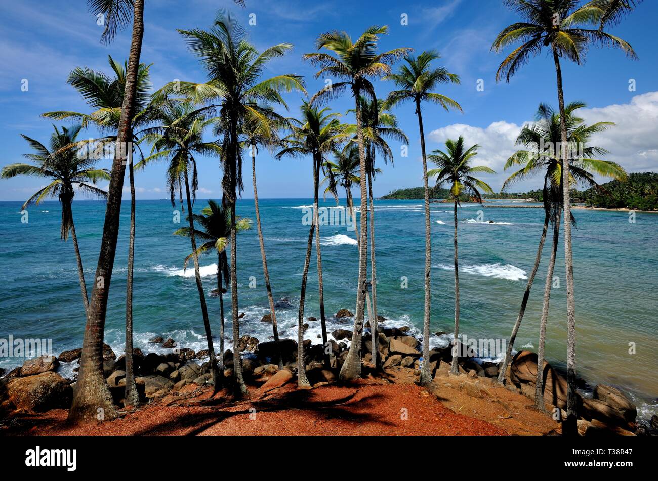 Tropische Landschaft der Küste im Süden von Sri Lanka Stockfoto