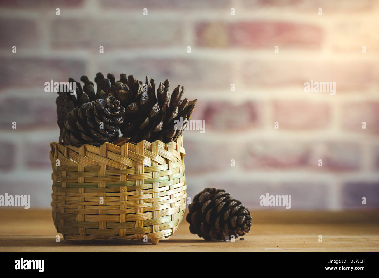 Pine Cone in Bambus Korb auf Tisch und Wand Hintergrund mit Morgensonne. Stockfoto