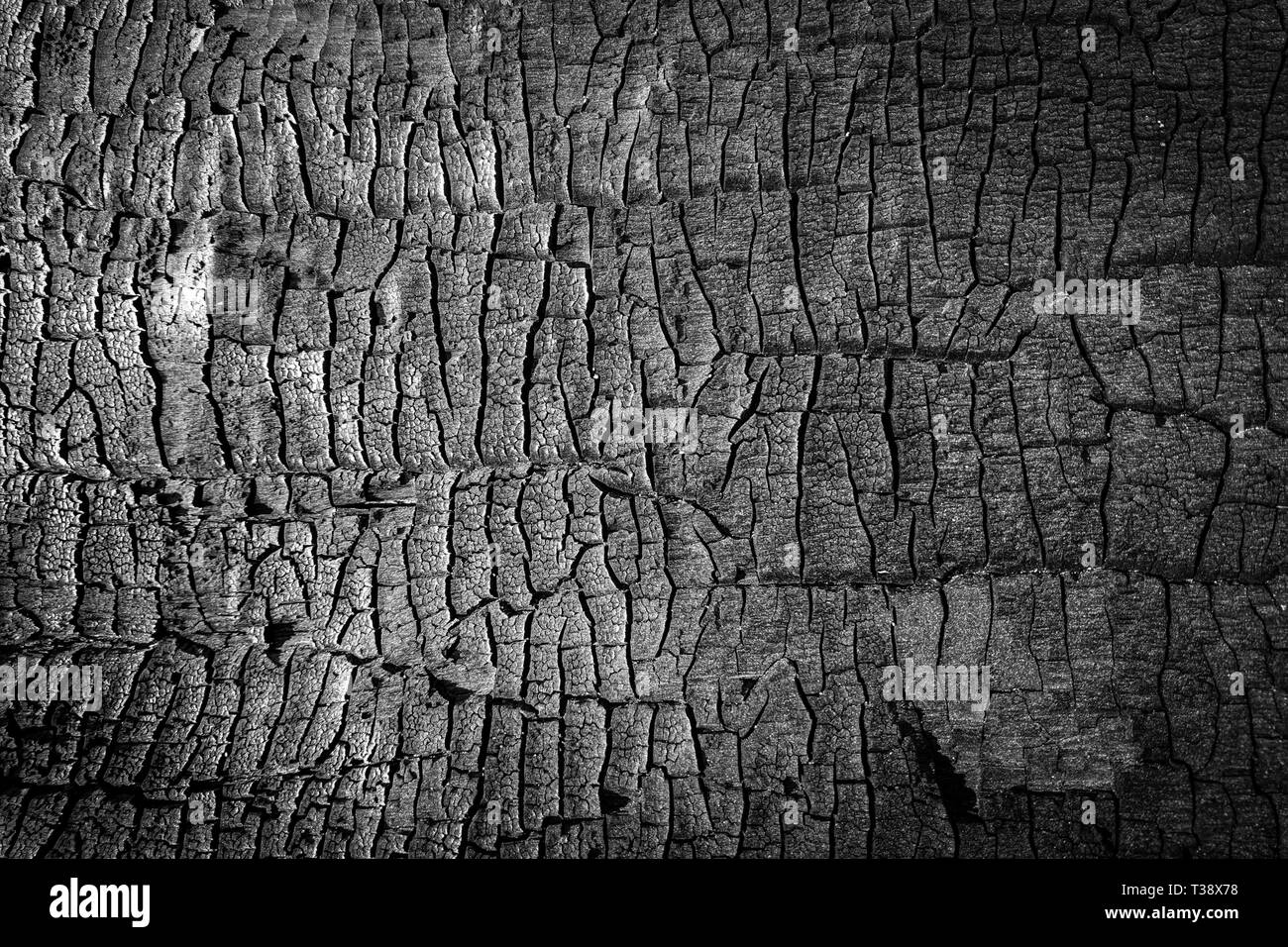 Verbranntem Holz Textur Nahaufnahme Schwarz Zerkratzte Holz Hintergrund Details Auf Der Oberflache Der Kohle Stockfotografie Alamy