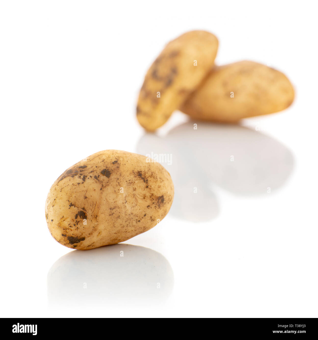 Frisch geerntete organischen Bodens Kartoffeln isoliert auf weißem Hintergrund Stockfoto