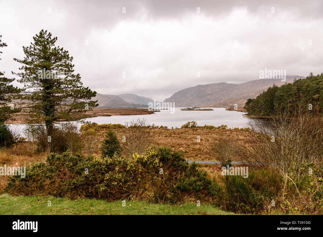 Lough Beagh, County Donegal, Irland Stockfoto