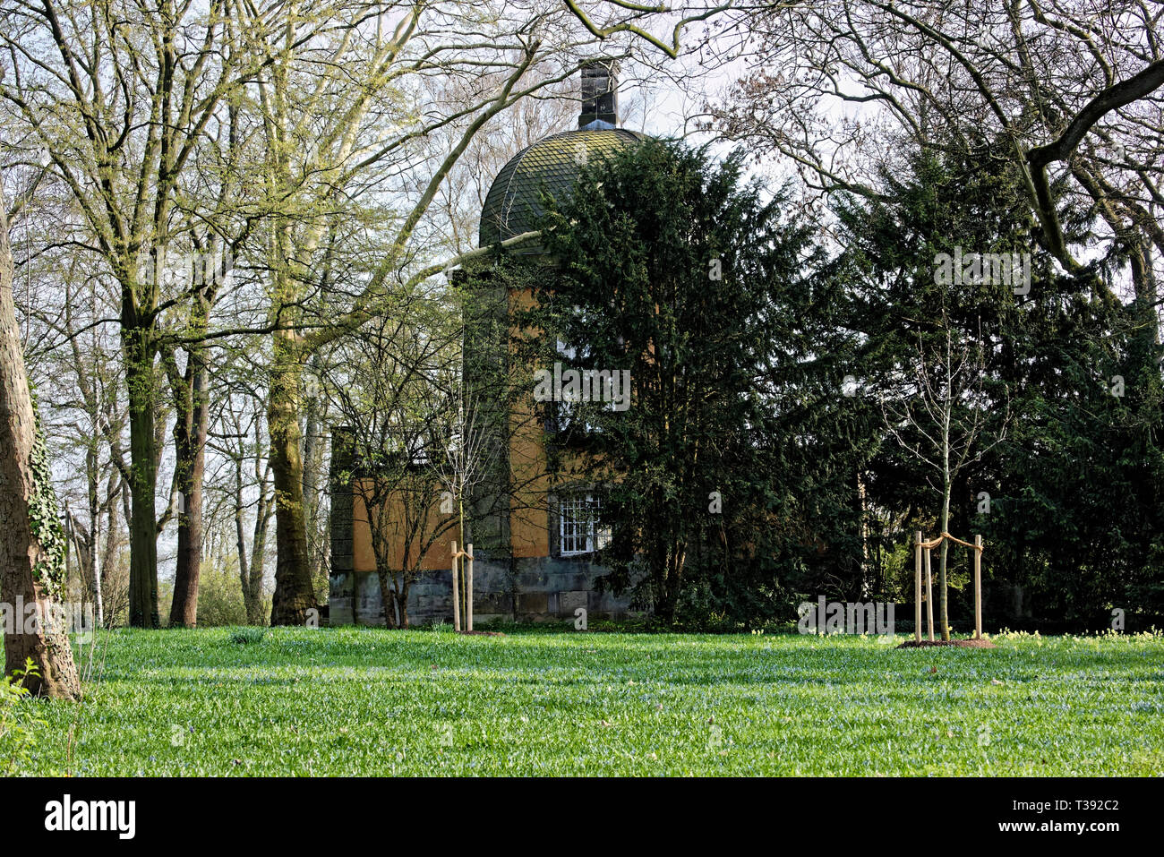 Scilla Blütenfest Das Blaue Wunder mit dem Lindener Berg Stockfoto