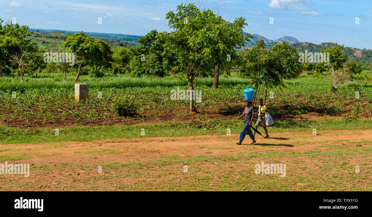 Malawische Mann und seine Tochter entlang einem Feldweg Mann mit Regenschirm und einen Eimer auf dem Kopf nicht unterstützte durch seine Hände Stockfoto