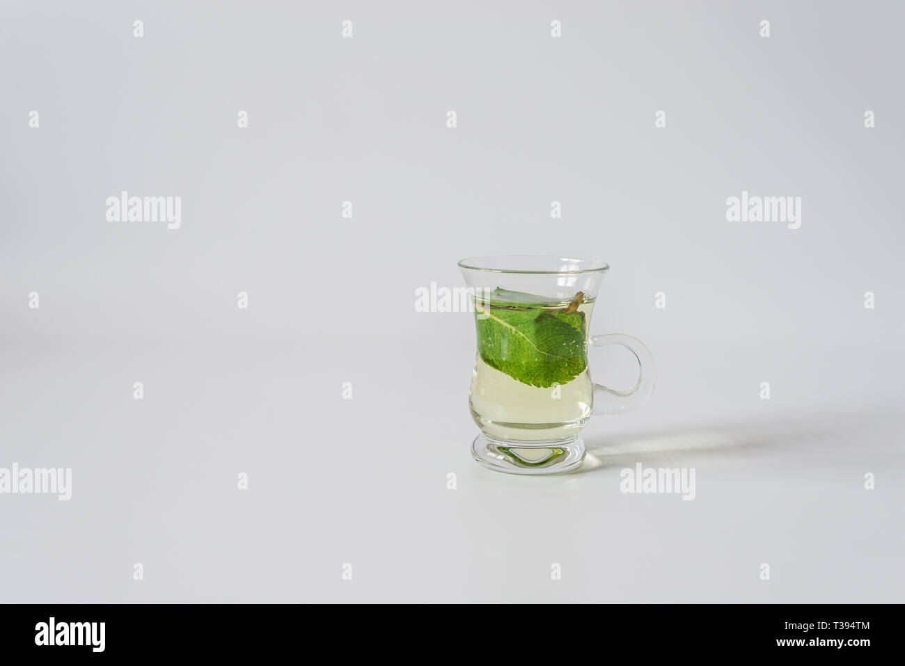Kleine Tassen mit Mentha treibt auf weißem Hintergrund Stockfoto
