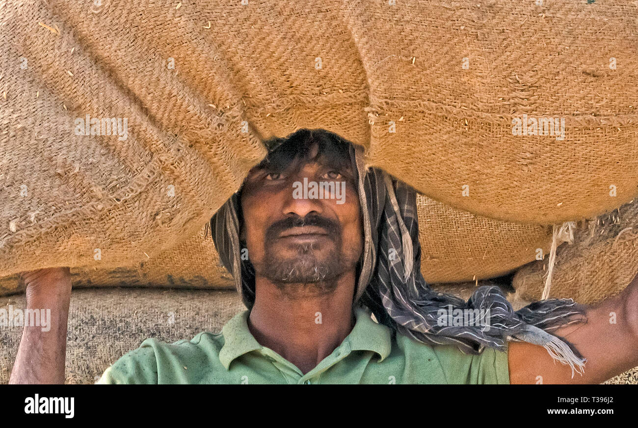 Mann, der sack reis, Rajshahi Division, Bangladesch Stockfoto