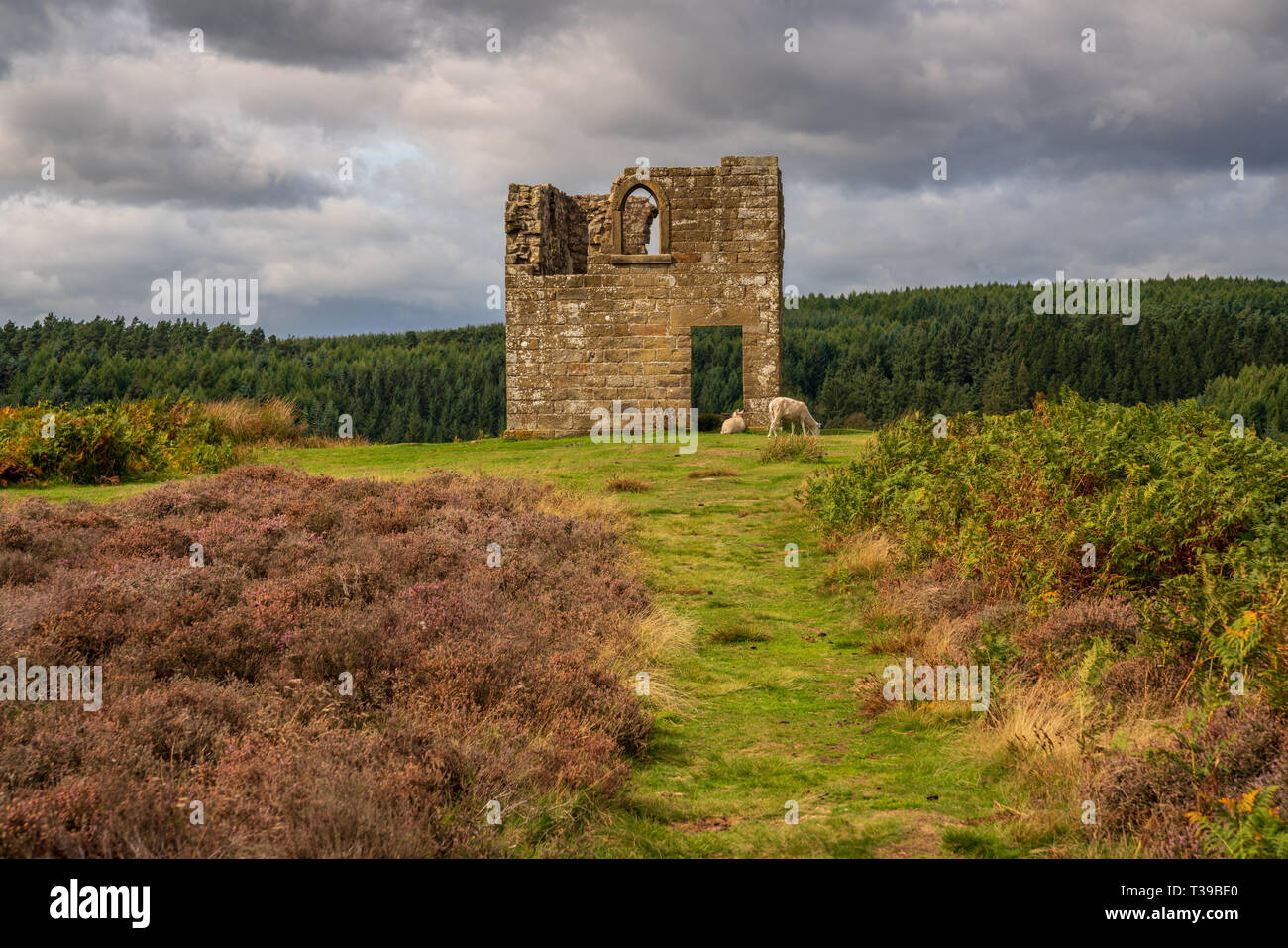 North York Moors Landschaft, bei Skelton Turm, aus dem Moor Levisham, North Yorkshire, England, UK gesehen suchen Stockfoto