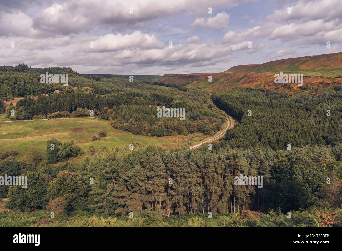 North York Moors Landschaft in Newtondale, aus dem Moor Levisham, North Yorkshire, England, UK gesehen Stockfoto