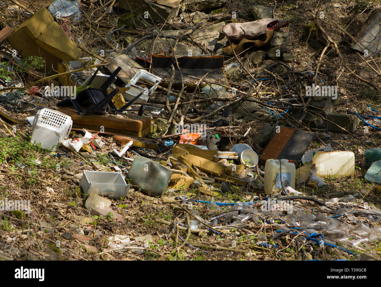 Berg Müll im Wald. Müll im Wald-Dump in den Wäldern. Stockfoto