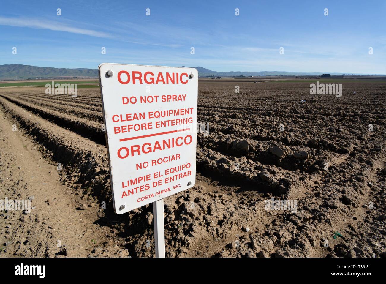Essen wachsendes Gebiet mit organischen Zeichen für keine Pestizide oder Chemikalien in Salinas Valley in Kalifornien Stockfoto