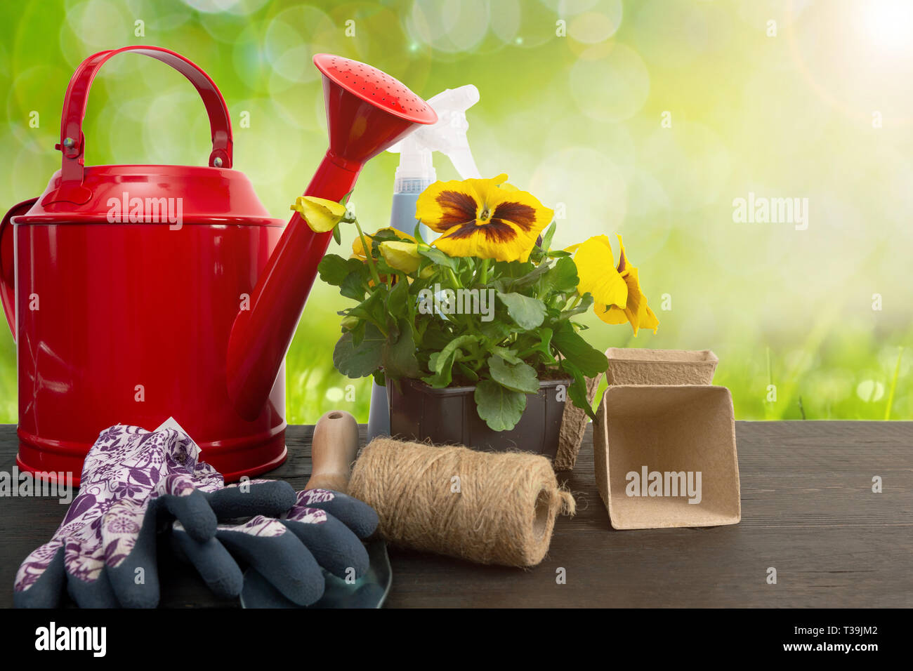 Gartenarbeit Konzept - Satz von Tools für die Gärtner und Stiefmütterchen im Topf in sonniger Garten Stockfoto
