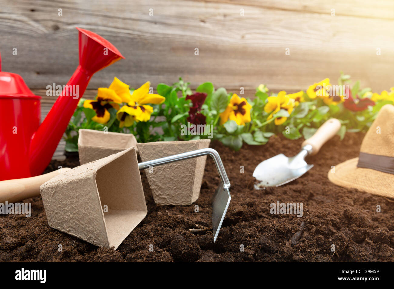 Gartengeräte und Feder Stiefmütterchen Blumen auf der Terrasse im Garten. Gartenarbeit Konzept Stockfoto