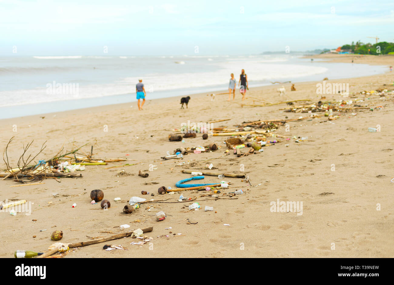 Die Leute gehen mit den Hunden durch verschmutzte mit Kunststoff- und Abfall Strand. Die Insel Bali, Indonesien Stockfoto