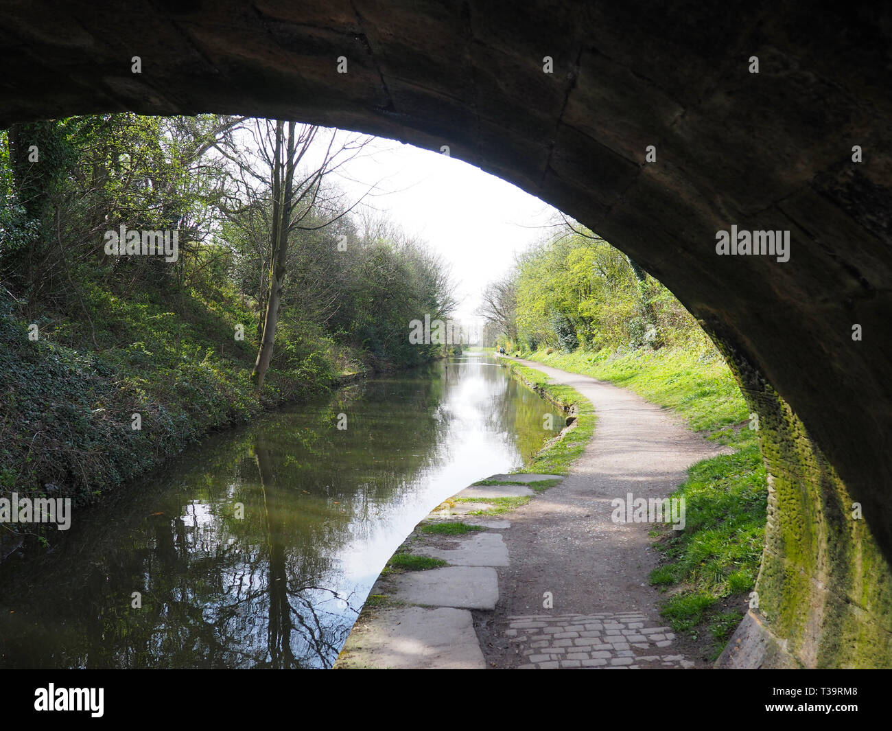 Canal, Bollington Macclesfield, Cheshire, Großbritannien Stockfoto