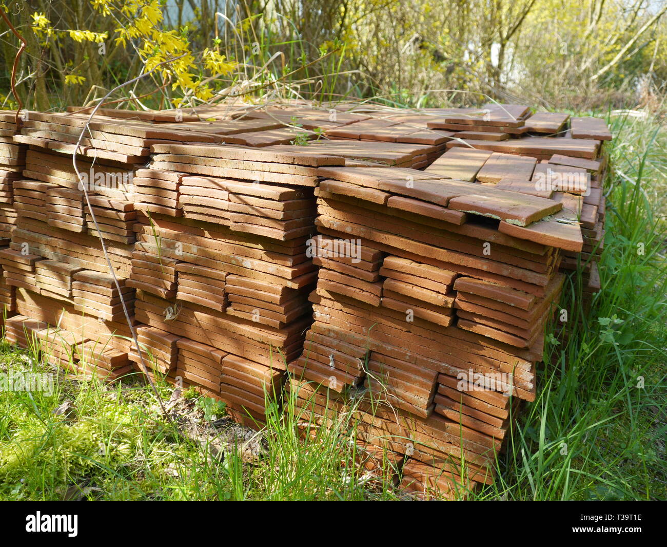 Ein Stapel von Backstein Furniere Stockfoto