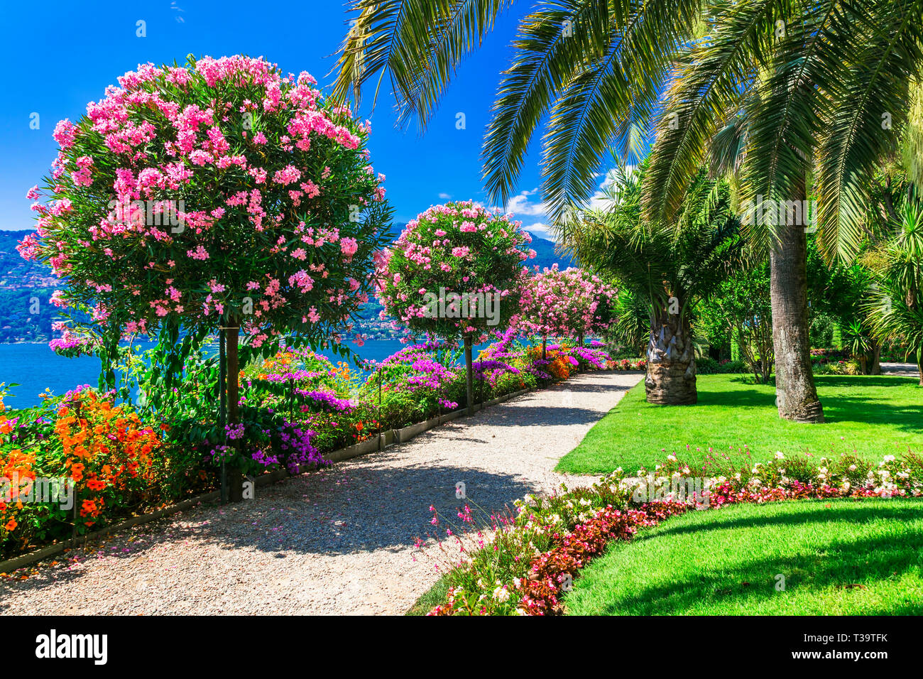 Schöne gärten italiens Fotos und Bildmaterial in hoher Auflösung Alamy