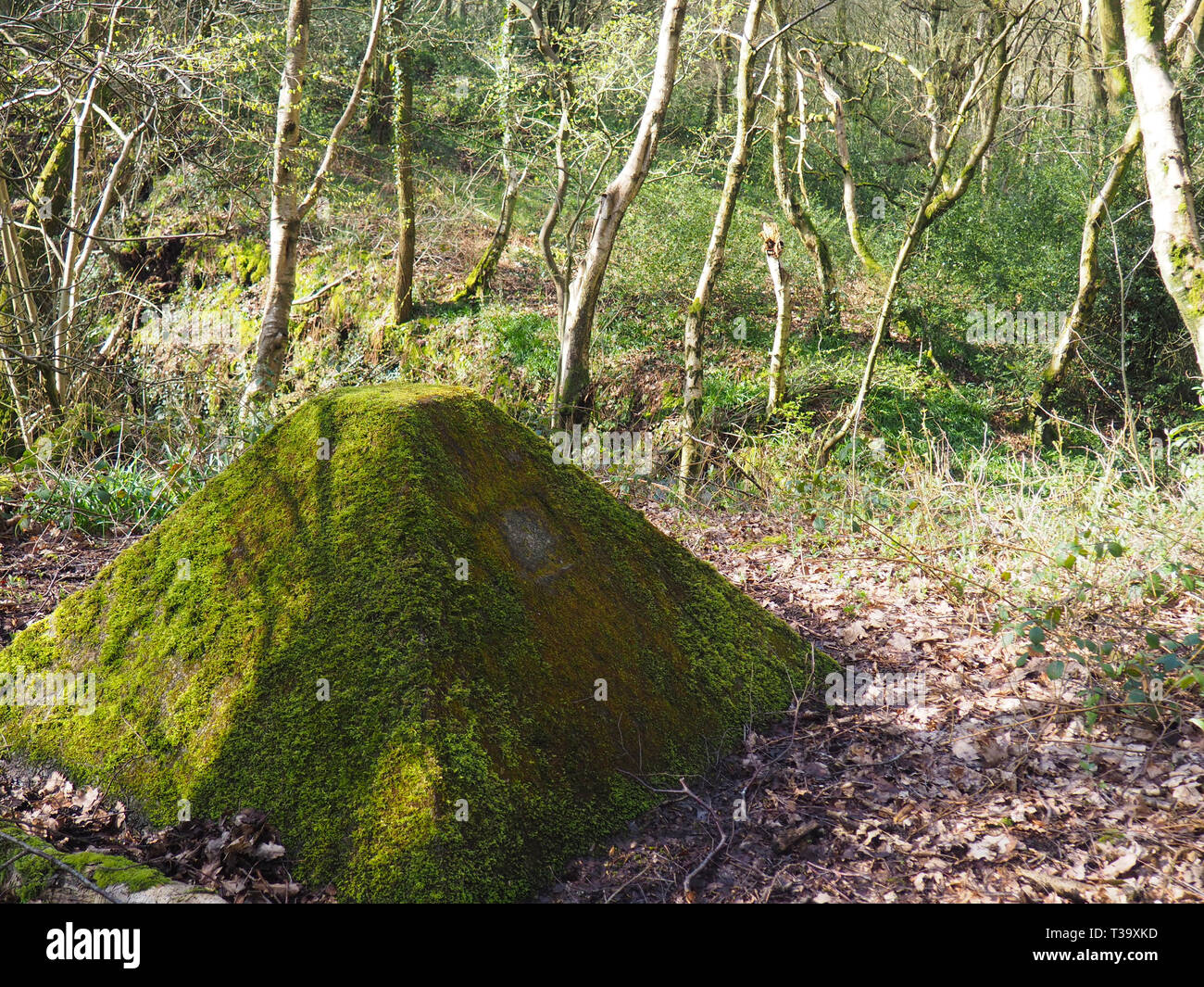 Eine bedeckte Schacht im Wald in der Nähe von Pott Shrigley, Cheshire, Großbritannien Stockfoto