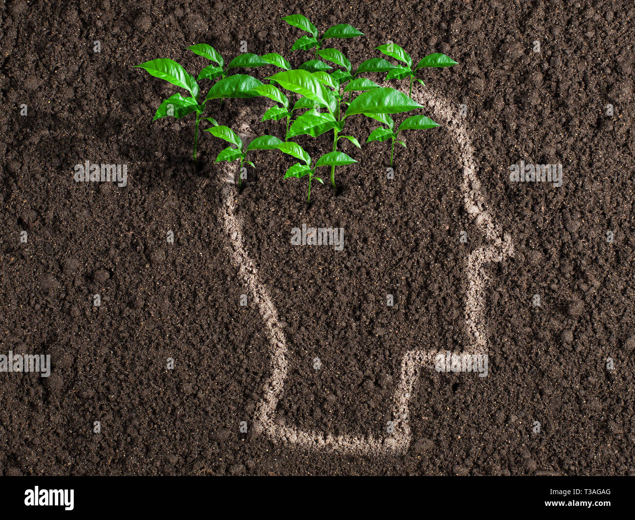 Ideen und initiative Konzept. Grüne Blätter aus dem menschlichen Gehirn. Stockfoto