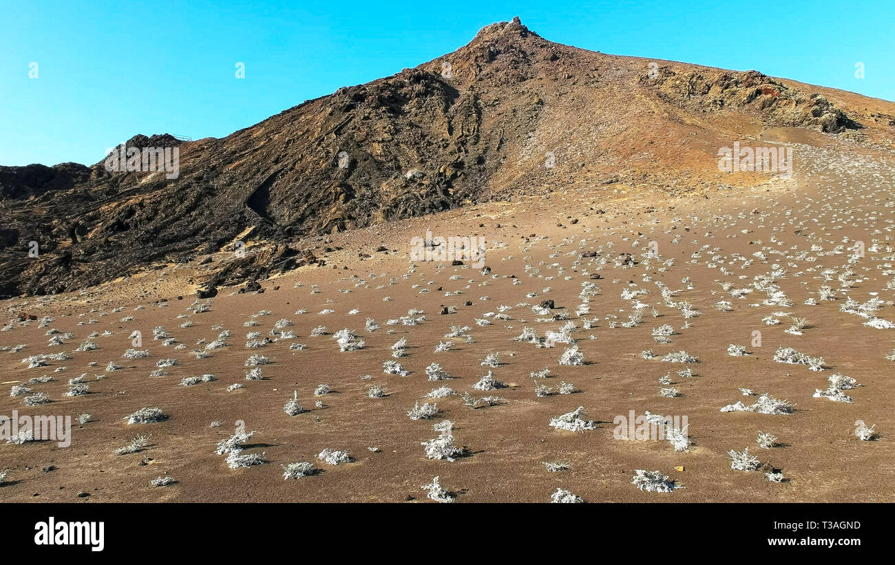 Grau matplant und Schlackenkegel bartolome auf Galapagos Stockfoto