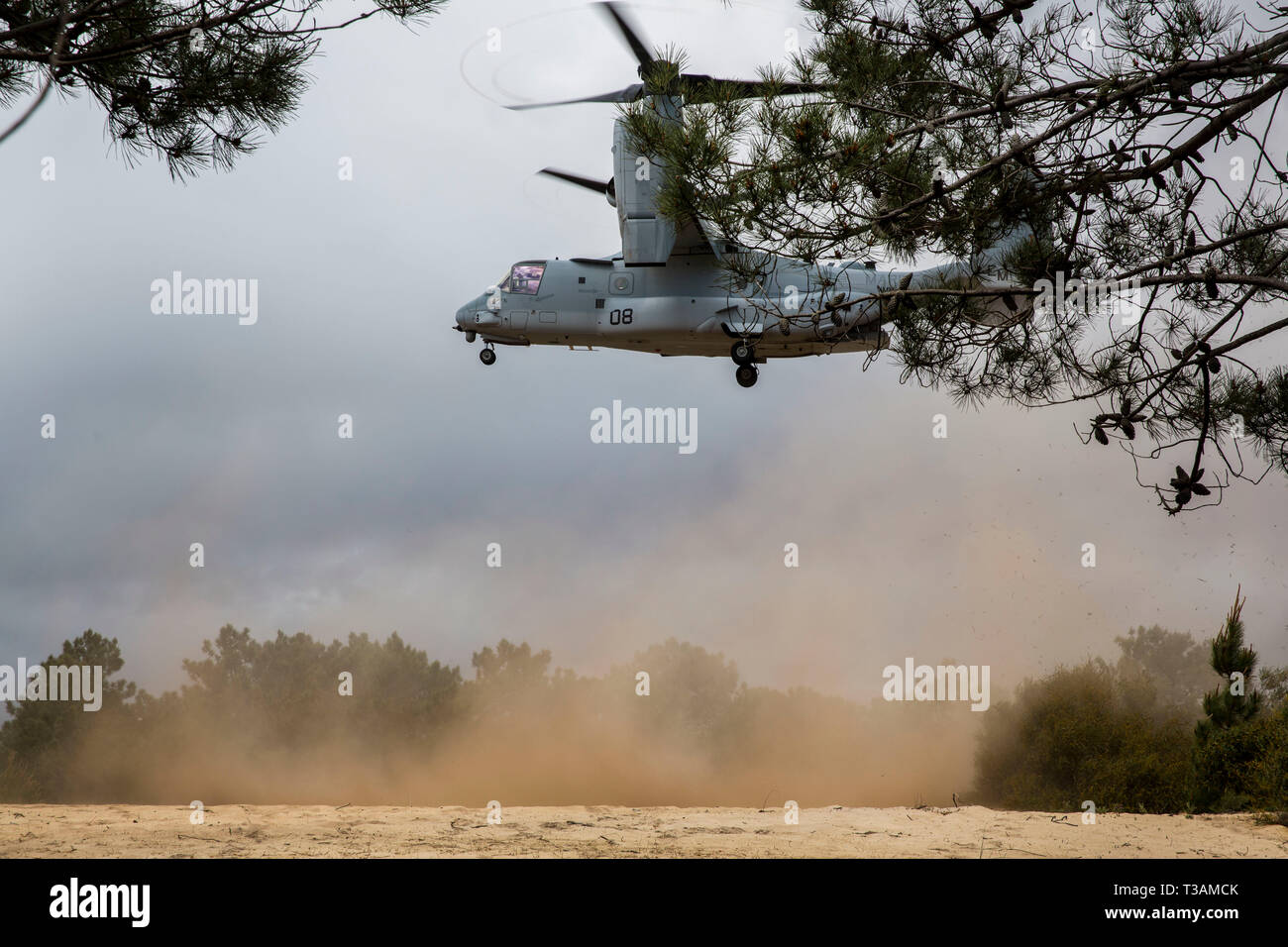 Eine MV-22 B Osprey mit speziellen Zweck Marine Air-Ground Task Force-Crisis Response-Africa 19.2, Marine Kräfte in Europa und in Afrika, landet während einer taktischen Recovery von Flugzeugen und Personal Übung in Troia, Portugal, April 5, 2019. SPMAGTF-CR-AF ist eingesetzt Krise - Reaktion und Theater zu leiten - Security Operations in Afrika und die Förderung der regionalen Stabilität durch die Durchführung von militärischen Übungen in ganz Europa und Afrika. (U.S. Marine Corps Foto von Cpl. Margaret Gale) Stockfoto