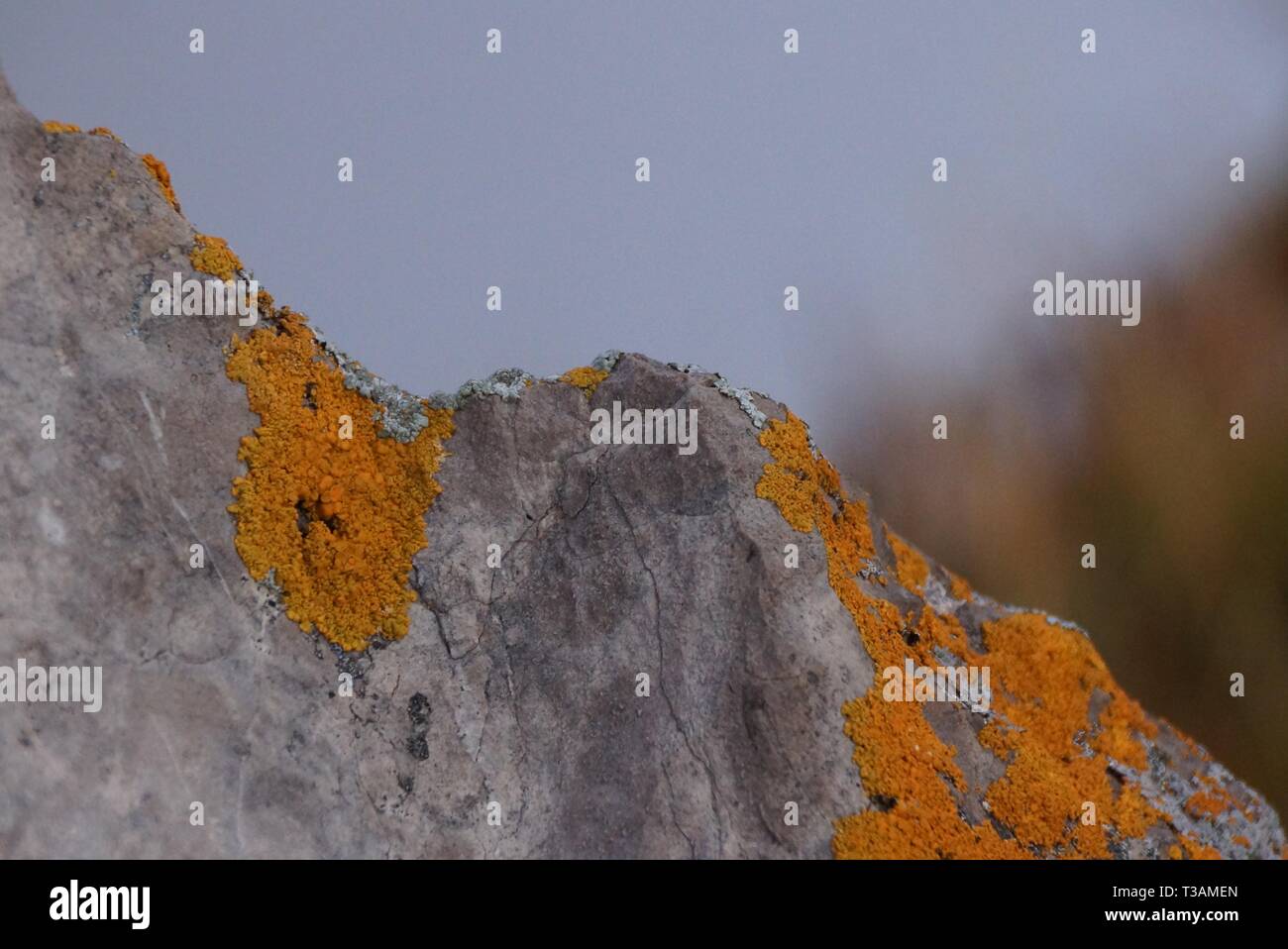 Blick vom Pilatus Berg außerhalb von Luzern Schweiz Stockfoto