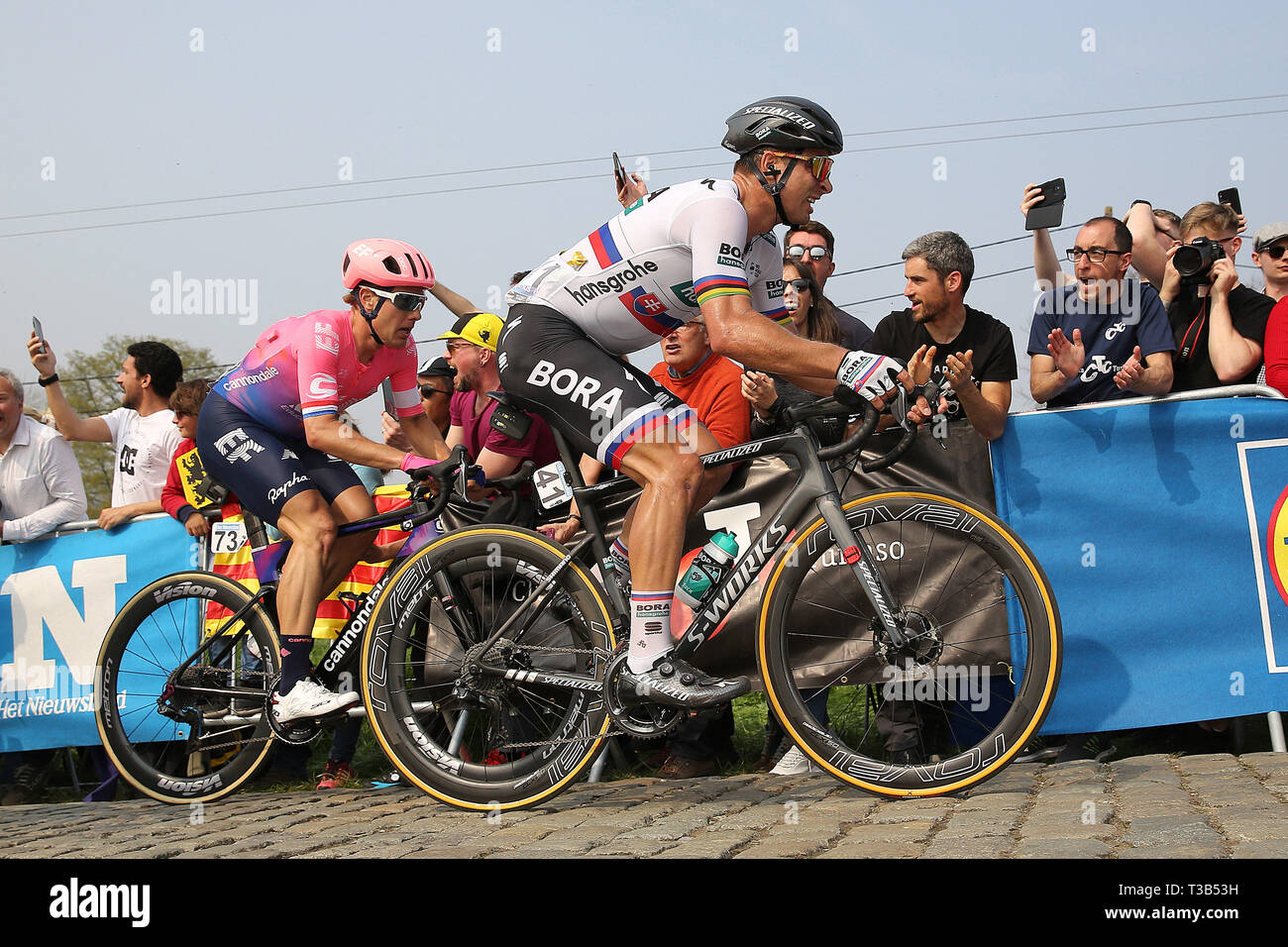 Oudenaarde -7-04-2019, Radfahren, Ronde van Vlaanderen, mit Peter Sagan Stockfoto